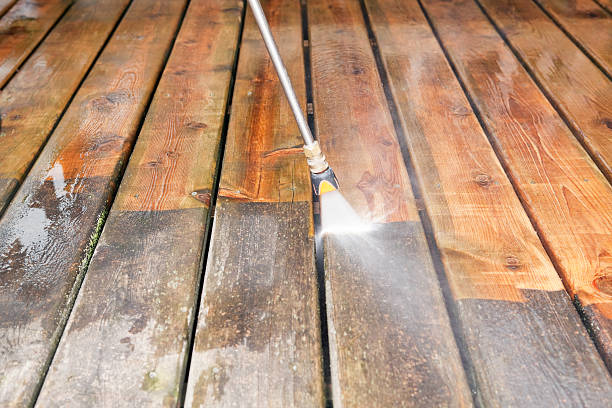 Animal Enclosure Cleaning in Muhlenberg Park, PA
